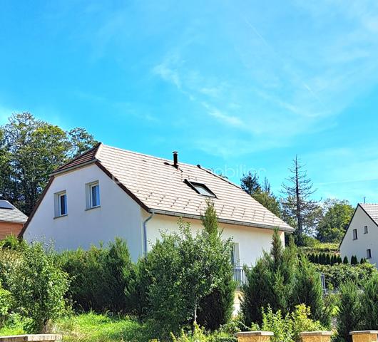 Idéalement située dans le Haut Jura, idéal pour jeunes frontaliers et amoureux de la nature, au pied des pistes de ski de fond et des randonnées jurassiennes, cette maison de type 6 de 130 m² sur beau terrain de 700 m², construite en 2010, vous offrant de beaux volumes et une très belle luminosité par son exposition Sud/Est/Ouest. Au cours de votre visite venez la découvrir pour un coup de coeur assuré 
Au rez de chaussée : grand hall d'entrée avec dressing, espace lingerie, et grand double garage côte à côte avec 2 portes roulantes électrique (50 m²)
Au 1er étage avec un accès sur le terrain , la terrasse et le balcon 
une cuisine équipée et aménagée ouverte sur pièce de vie de 50 m² avec son poêle idéalement placé pour chauffer toute la maison et vous procurer de belles soirées au coin du feu et un puit de lumière au dessus de votre table à manger
2 chambres
salle de douche/baignoire et wc séparé (point d'eau)
Au second niveau, une grande mezzanine avec vitres incassables pour le puit de lumière, 2 chambres enfants, salle de douche/wc
double vitrage. volets roulants. Venez rapidement la visiter pour un coup de coeur assuré