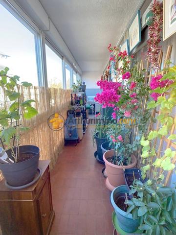 Vente                                                      Appartement
                        
                     3 pièces                      66 m2                     à Perpignan