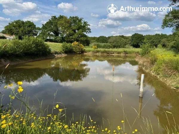 Vente Maison 135 m2 à Javron-les-Chapelles