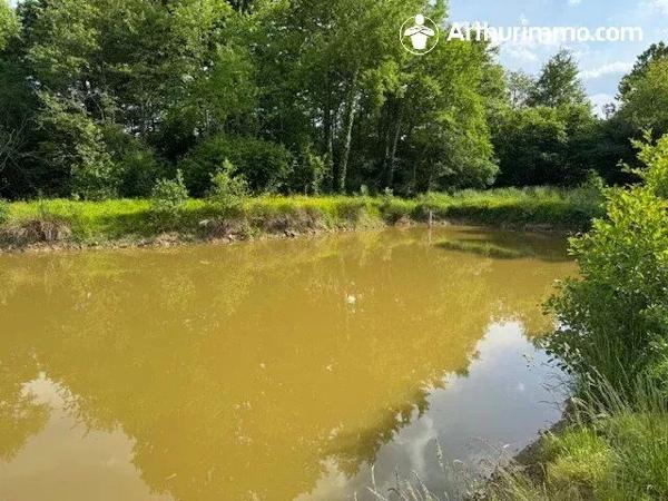 Vente Maison 135 m2 à Javron-les-Chapelles