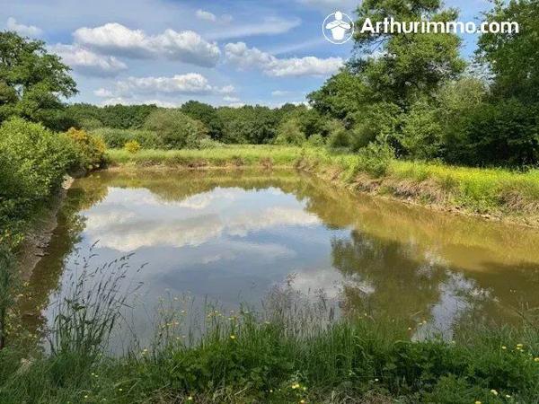 Vente Maison 135 m2 à Javron-les-Chapelles