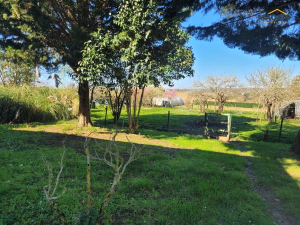 Maison au calme sur les hauteurs – Environnement exceptionnel- SAINTE-BAZEILLE-4 CHAMBRES