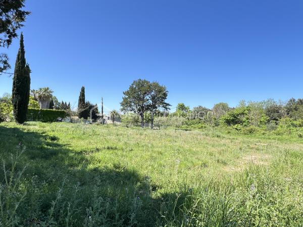 Terrain de 2 762 m²