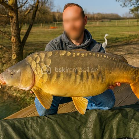 Terrain de loisirs de 10 885 m²