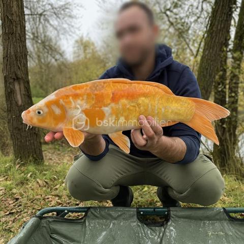 Terrain de loisirs de 10 885 m²