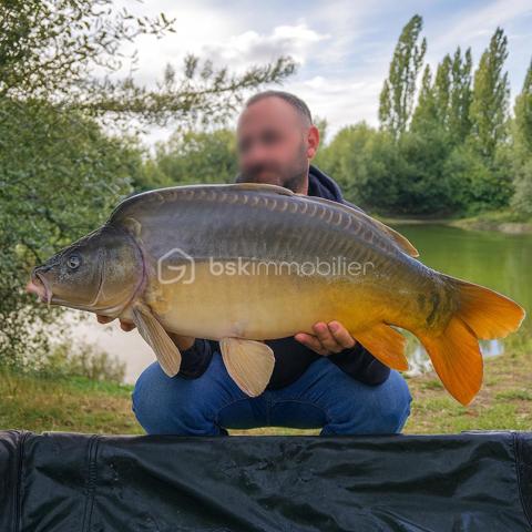 Terrain de loisirs de 10 885 m²