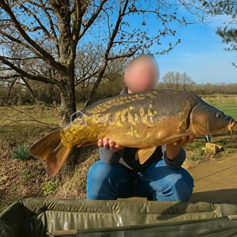 Terrain de loisirs de 10 885 m²