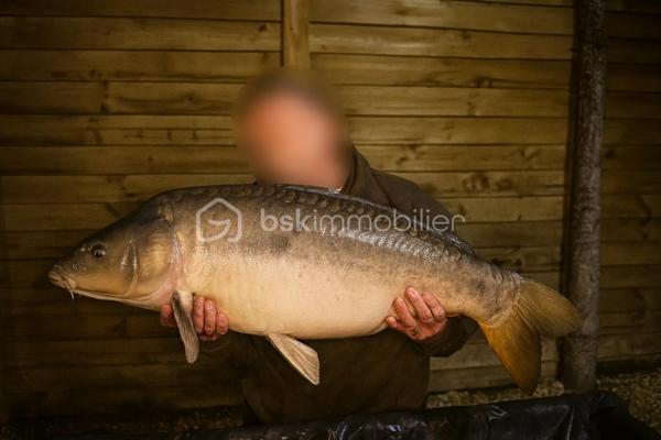 Terrain de loisirs de 10 885 m²