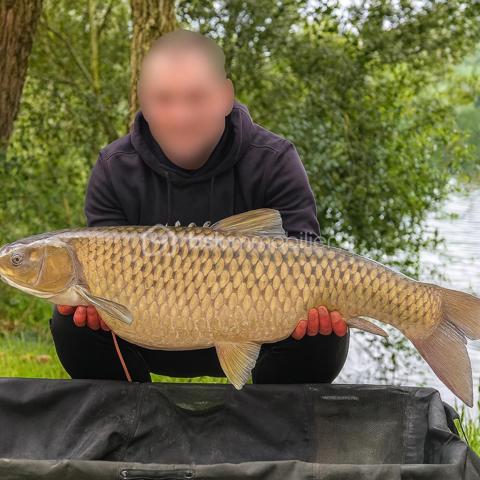 Terrain de loisirs de 10 885 m²