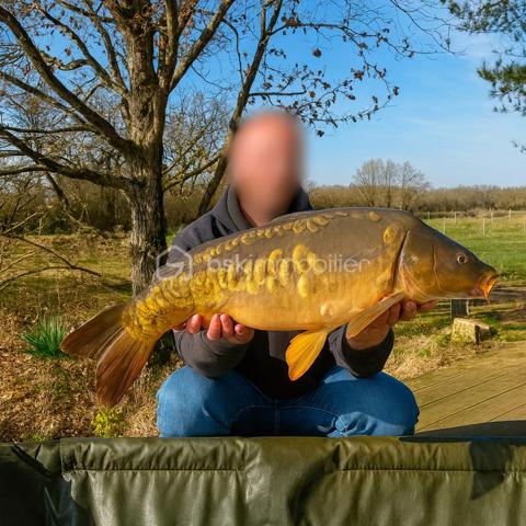 Terrain de loisirs de 10 885 m²