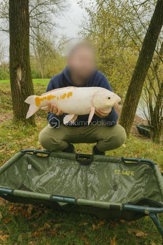 Terrain de loisirs de 10 885 m²