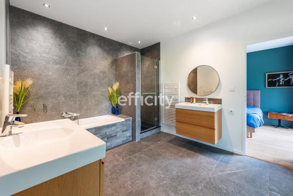 Maison 10 pièces - 292 m² Bien prestige