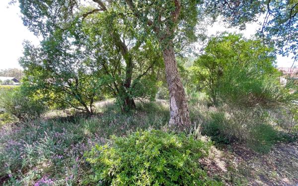 Maison à vendre    4 pièces •  Vieux-Boucau-les-Bains