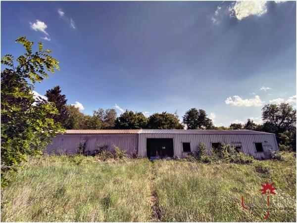 Location Local industriel 3 pièces Vineuil-Saint-Firmin (60500)