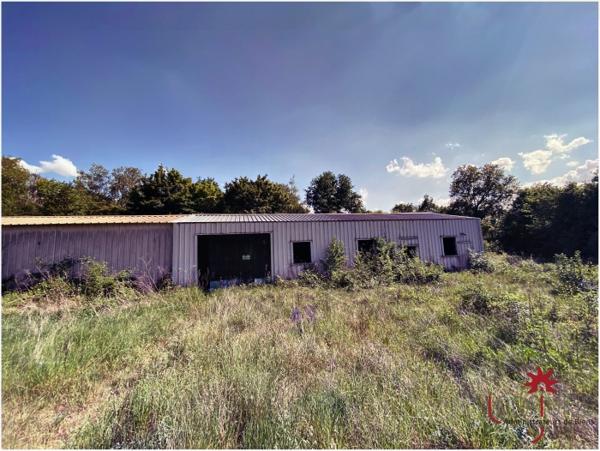 Location Local industriel 3 pièces Vineuil-Saint-Firmin (60500)
