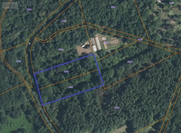 Achat - Terrain de loisirs, bois, étangs Monteneuf 56380 6010 m 2