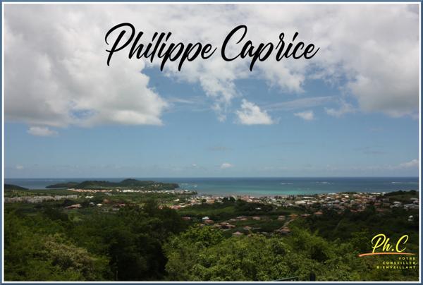 Terrain à vendre de 43 000,00 m² LE VAUCLIN (972)