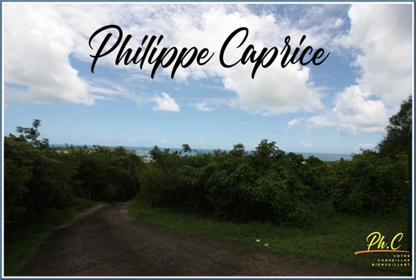 Terrain à vendre de 43 000,00 m² LE VAUCLIN (972)