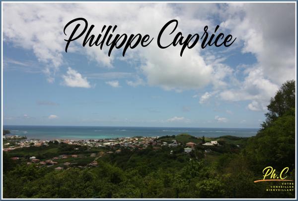 Terrain à vendre de 43 000,00 m² LE VAUCLIN (972)