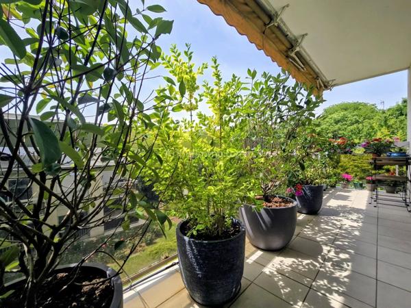 Vente                                                      Appartement
                        
                     4 pièces                      71 m2                     à Nogent-sur-Marne