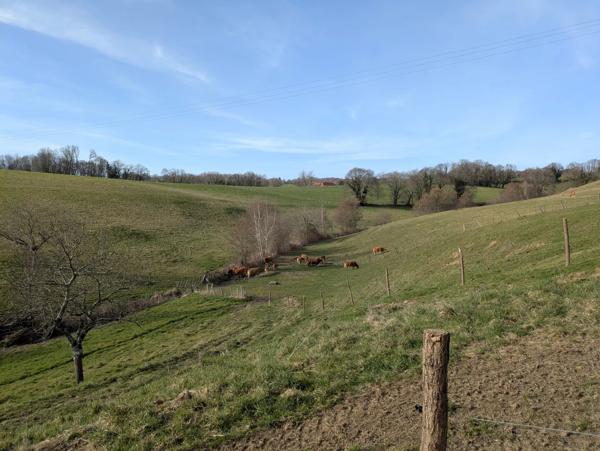 Corps de ferme à vendre près de Lacapelle-Marival avec appartement indépendant, granges et 1,6 hectare de terrain