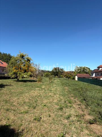Vente
                TerrainFOUCHERANS (39100)