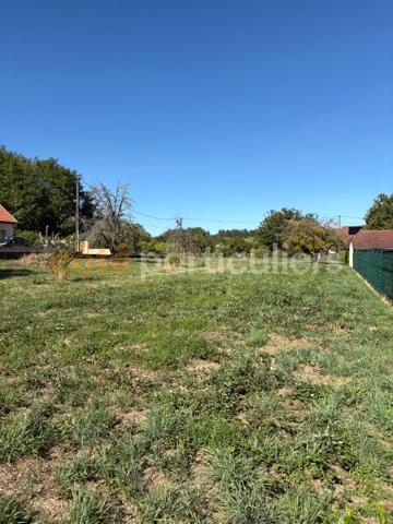 Vente
                TerrainFOUCHERANS (39100)