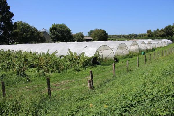 Vaste domaine avec Château et maison de maître