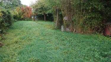 Verger à vendre à Châtellerault dans la Vienne (86100), ref : 86024-BAGR2343 nord