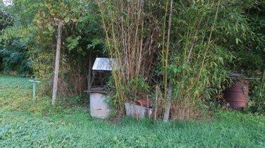 Verger à vendre à Châtellerault dans la Vienne (86100), ref : 86024-BAGR2343 nord