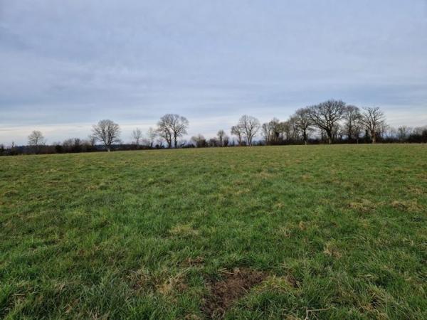 Maison ferme Mortrée 101 m²