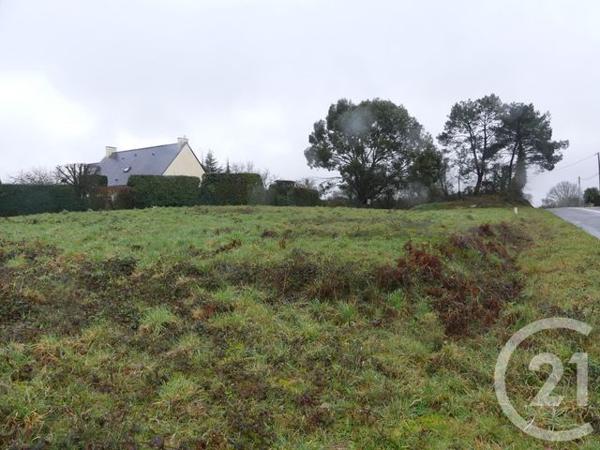 Terrain à vendre  1357 m2 ALLAIRE - 56