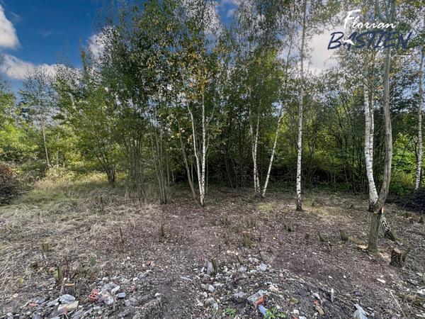 Propriété avec maison plain pied et bâtiment de 750m² sur un terrain de plus de 3 hectares