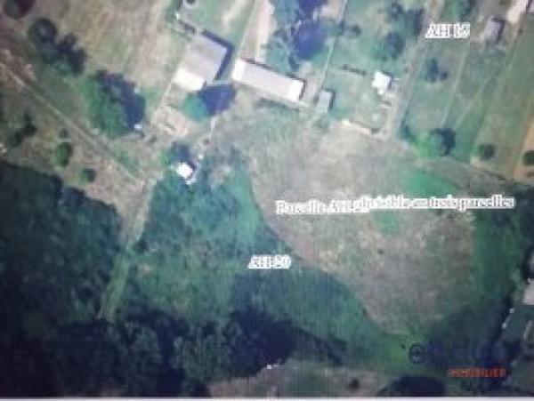 TERRAIN VIABILISE de 7000m² .Possibilité de lôtir!