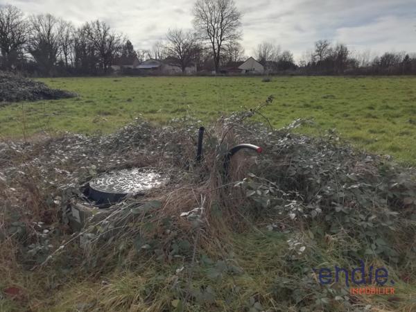 TERRAIN VIABILISE de 7000m² .Possibilité de lôtir!