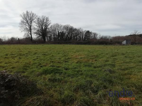 TERRAIN VIABILISE de 7000m² .Possibilité de lôtir!