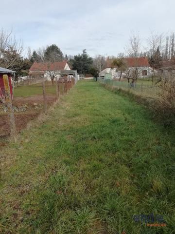 TERRAIN VIABILISE de 7000m² .Possibilité de lôtir!