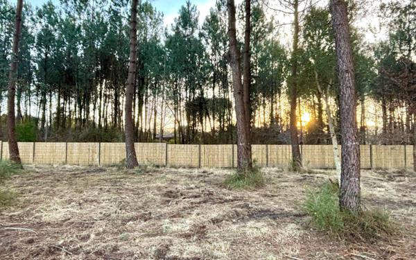 Terrain à vendre    Seignosse