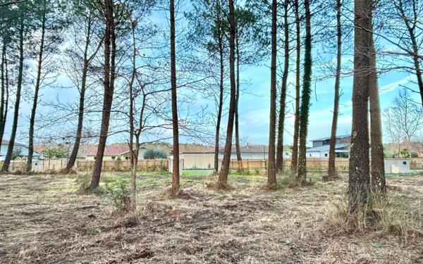 Terrain à vendre    Seignosse