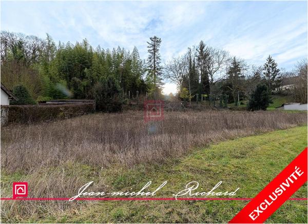 Terrain Seigy 1050 m2