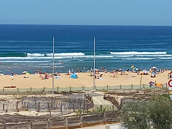 Location de vacances                                                      Appartement
                        
                     2 pièces                      35 m2                     à Mimizan