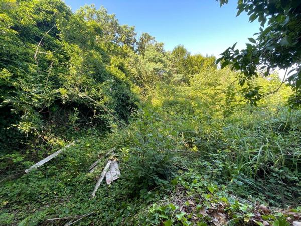 Maison à restaurer à vendre à Locquirec dans le Finistère (29241), ref : 11326/783