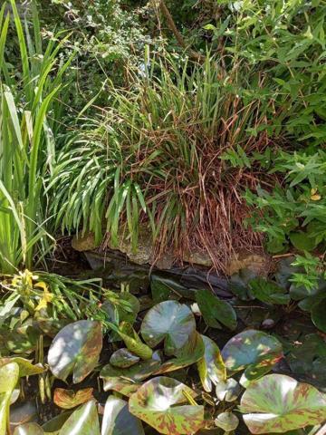 Maison à vendre à Camaret-sur-Mer dans le Finistère (29570), ref : 3048-70