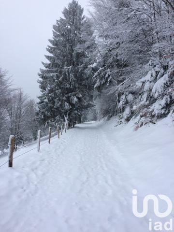 Terrain à vendre 2 477 m² Fresse-sur-Moselle