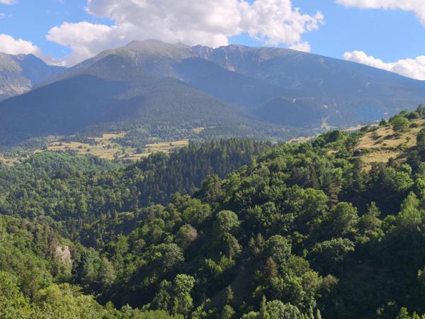 Sauto (66210) MAISON T5 + T3