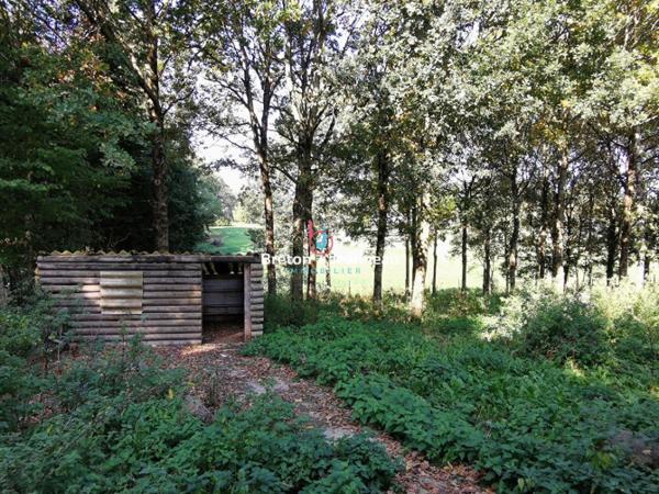 Maison à vendre à Hambers