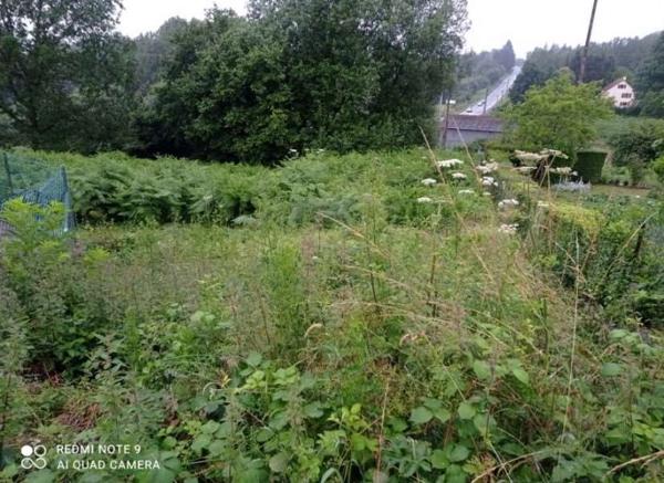 Terrain constructible et viabilisé Les Monts d'Andaine 860 m2