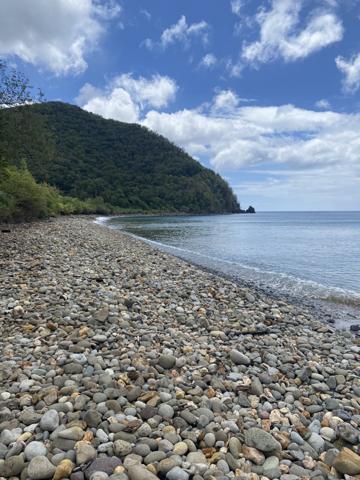Pointe-Noire (97116) Terrain Plat avec accès direct plage et rivière