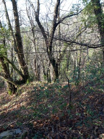 Terrain à vendre de 6 393,00 m² SAINT ETIENNE VALLEE FRANCAISE (48)