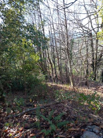 Terrain à vendre de 6 393,00 m² SAINT ETIENNE VALLEE FRANCAISE (48)